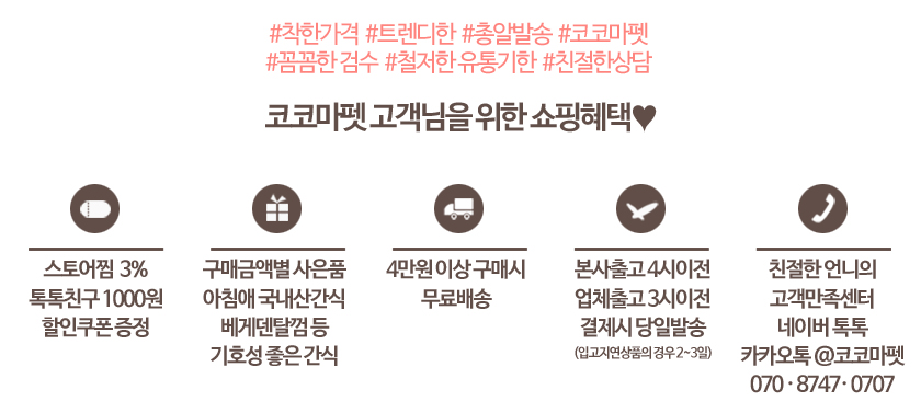 NEW DOG FASHION Winky New York Puppy Winter Wear K