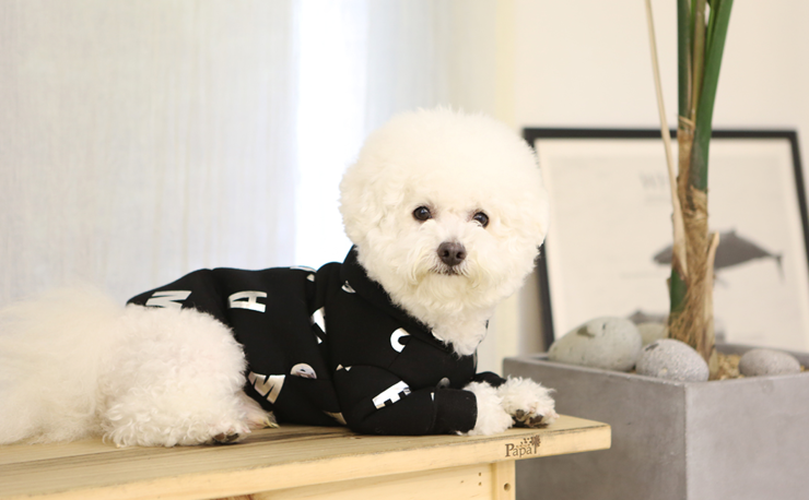 NEW DOG FASHION Dogs Winterwear Hoods