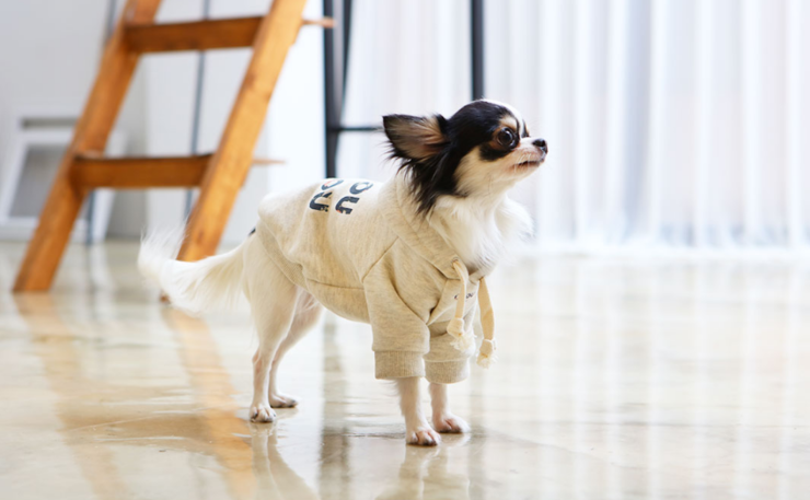 NEW DOG FASHION Dogs Winterwear Hoods