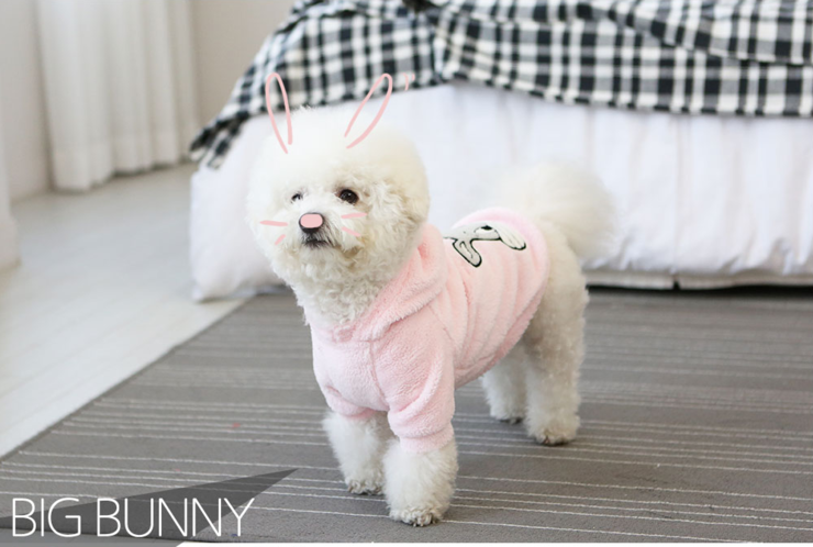 NEW DOG FASHION Dogs Winterwear Hoods