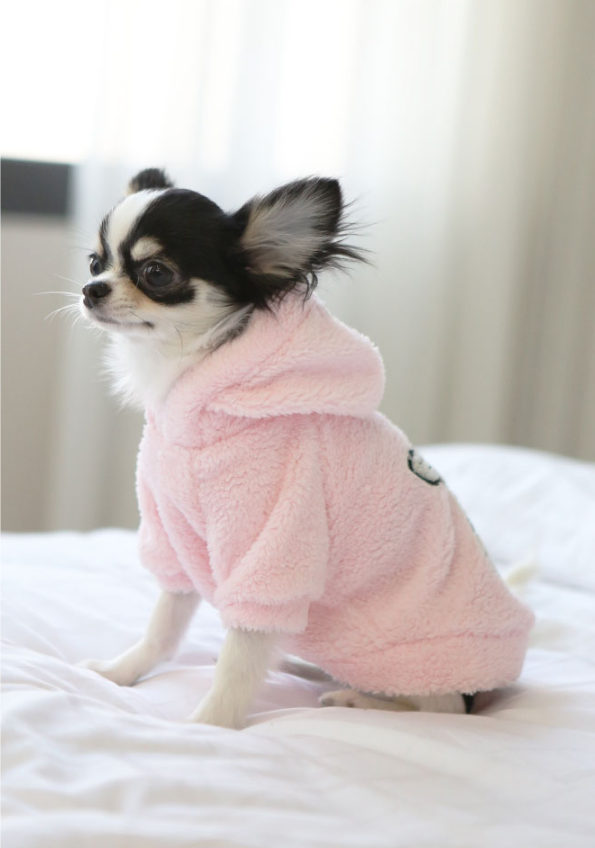 NEW DOG FASHION Dogs Winterwear Hoods