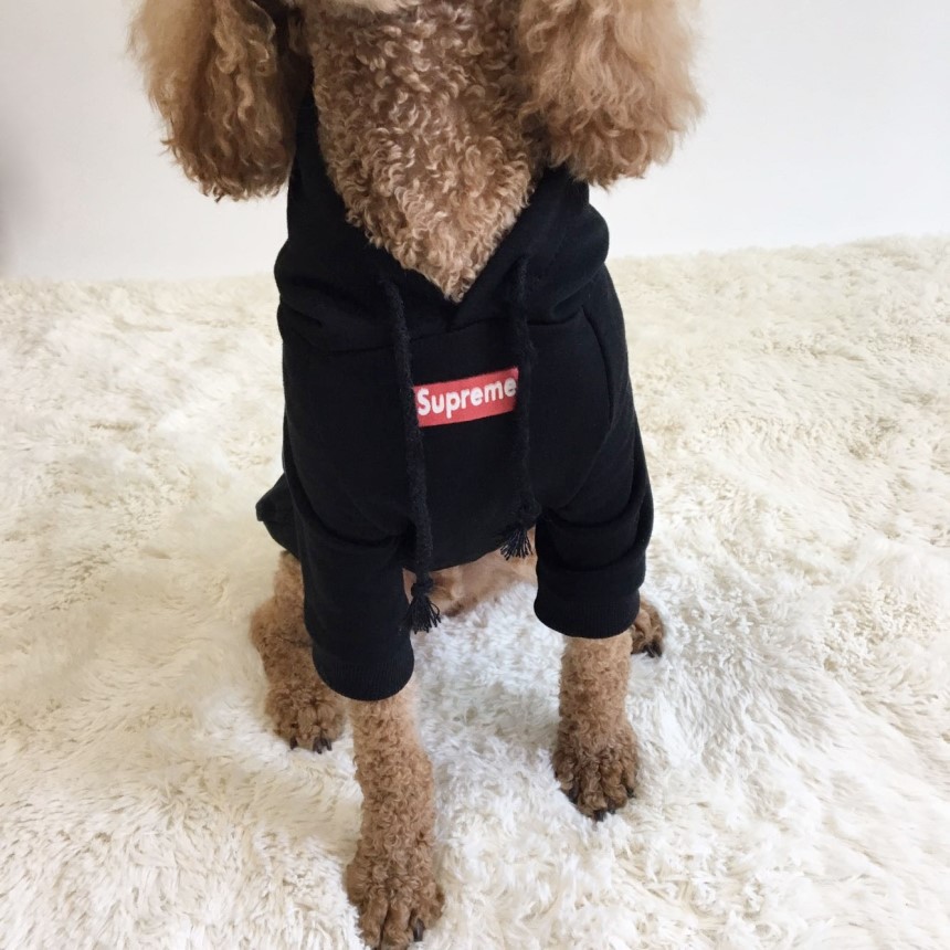 NEW DOG FASHION Supreme. st puppy hood Supreme tee