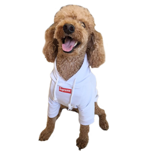 NEW DOG FASHION Supreme. st puppy hood Supreme tee