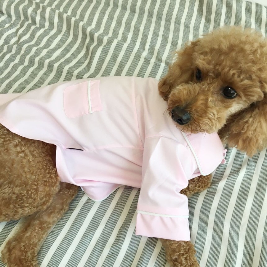 NEW DOG FASHION Pajamas Pajamas Cat Summer clothes