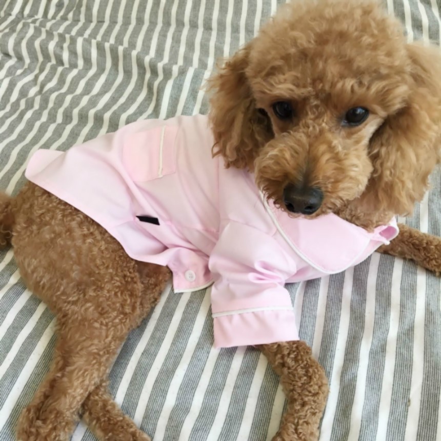 NEW DOG FASHION Pajamas Pajamas Cat Summer clothes
