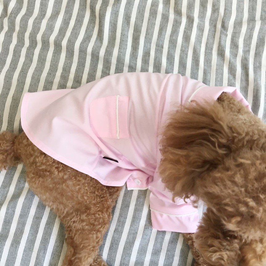 NEW DOG FASHION Pajamas Pajamas Cat Summer clothes