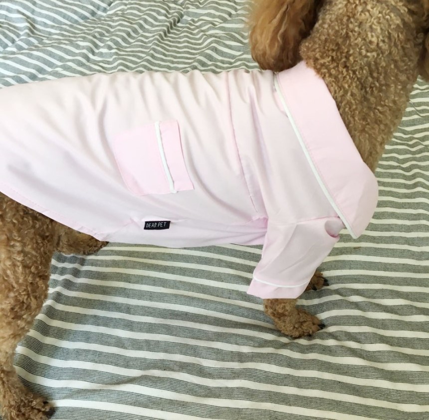 NEW DOG FASHION Pajamas Pajamas Cat Summer clothes