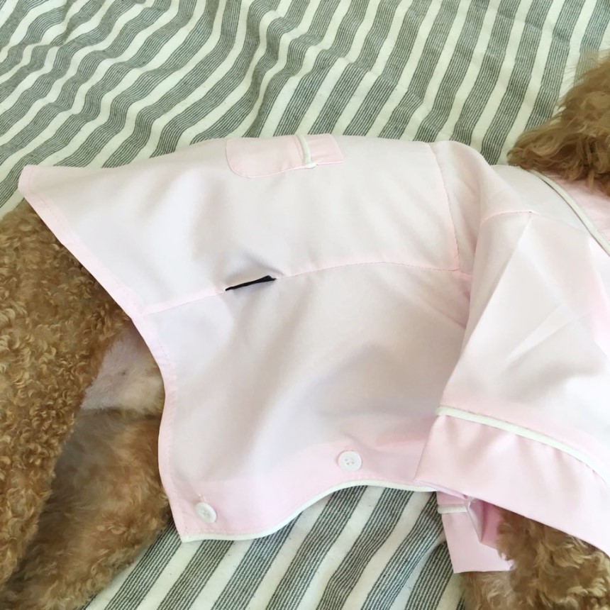 NEW DOG FASHION Pajamas Pajamas Cat Summer clothes