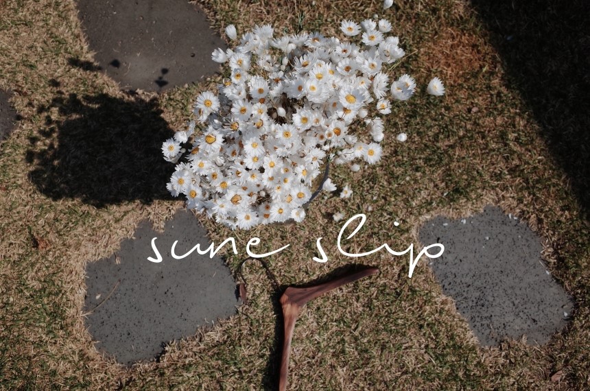 New short-sleeved high-quality cotton pajamas paja