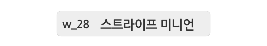 NEW SOCKS COLLECTION Women's Fashion Character