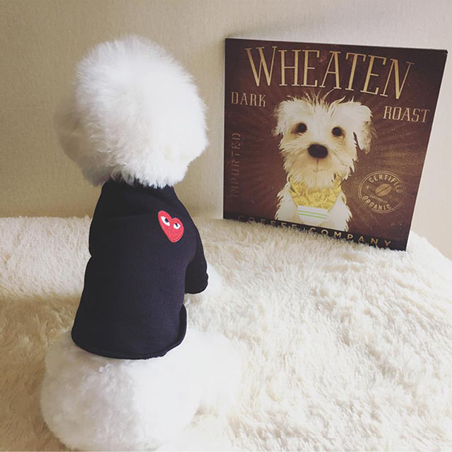 NEW DOG FASHION 꼼 데 st st 맨 맨 맨 &lt/s&gt &lt/s&gt 