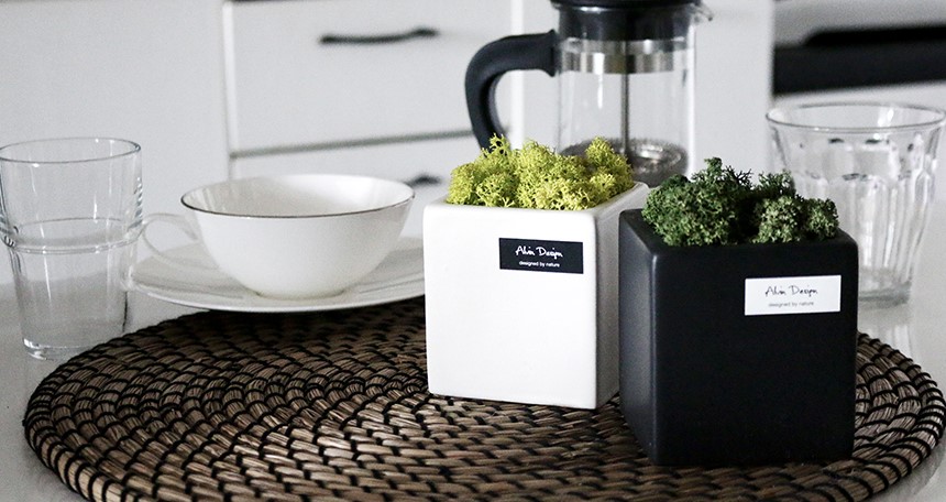 Alvin Design Scandia Moss interior wall clock 7 co