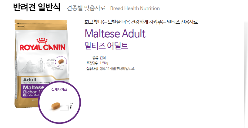 NEW PET DOG FEED Royal Canine Maltese Adult Feed S