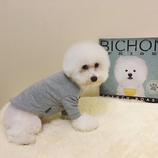 NEW DOG FASHION Tom Brown St luxury dog ​​clothes 