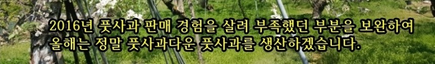 <b><p>Korean Pus powder 400g pu 1% No additives</p></b><b><p>韓国語 プトサグァ 粉末 400g 純粋な 1％ 無添加 販売 国内産 国産 食べ方</p></b><br /><br /><p align='center'>