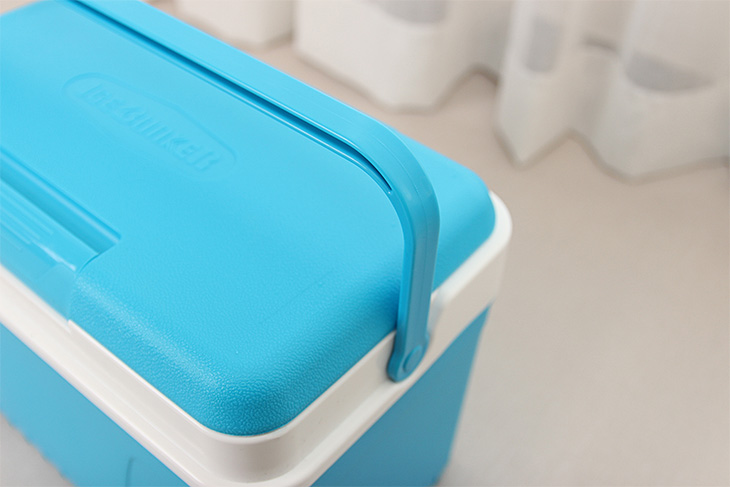 30s female mini ice box 12L cooler bag camping car