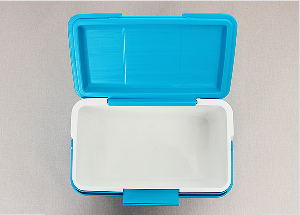 30s female mini ice box 12L cooler bag camping car