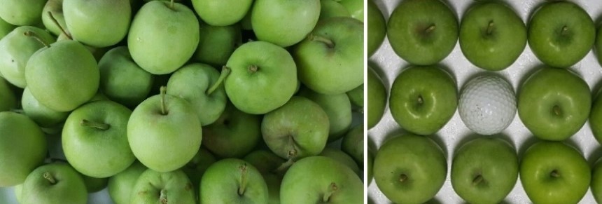 <b><p>Korean Pus powder 400g pu 1% No additives</p></b><b><p>韓国語 プトサグァ 粉末 400g 純粋な 1％ 無添加 販売 国内産 国産 食べ方</p></b><br /><br /><p align='center'>