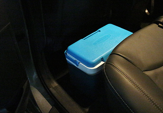 30s female mini ice box 12L cooler bag camping car