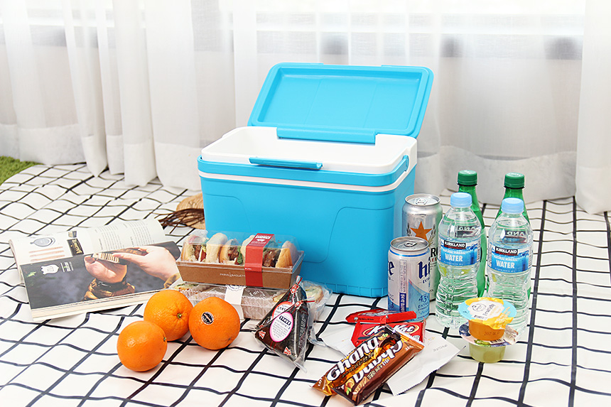 30s female mini ice box 12L cooler bag camping car