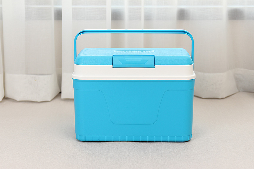 30s female mini ice box 12L cooler bag camping car