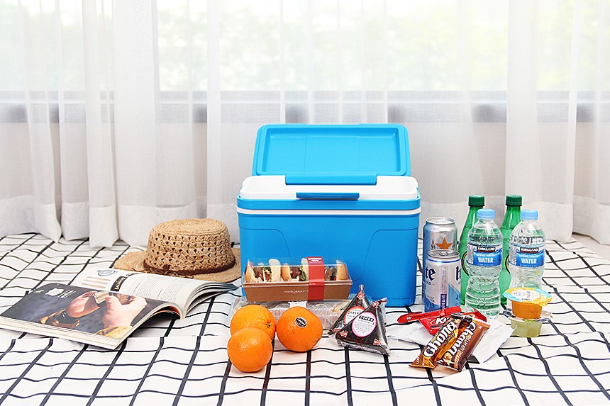 30s female mini ice box 12L cooler bag camping car