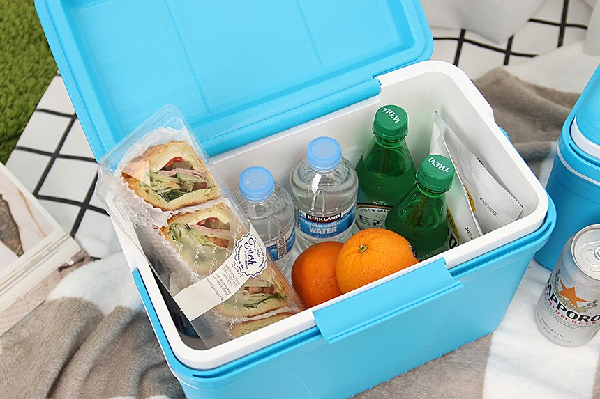 30s female mini ice box 12L cooler bag camping car