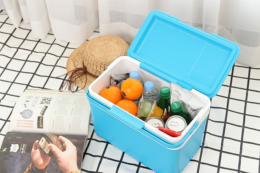 30s female mini ice box 12L cooler bag camping car