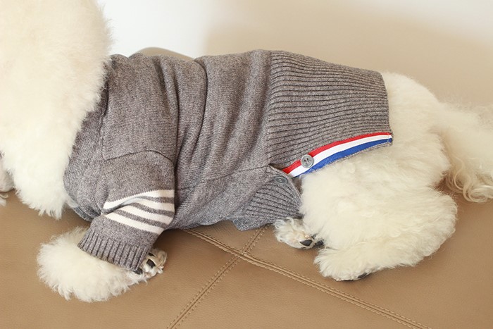 NEW DOG FASHION Puppy Tom Brown Cardigan - Dog Clo