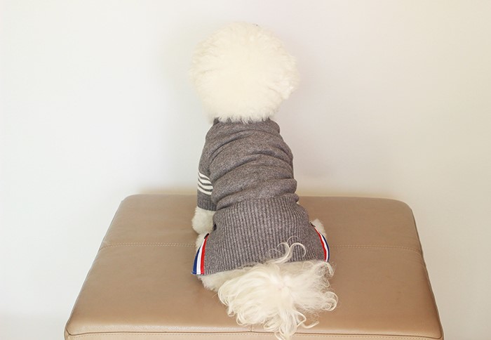 NEW DOG FASHION Puppy Tom Brown Cardigan - Dog Clo