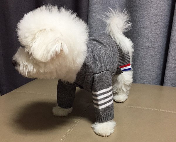 NEW DOG FASHION Puppy Tom Brown Cardigan - Dog Clo