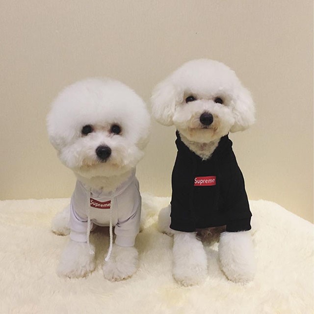 NEW DOG FASHION SUPREME ST puppy hoodie luxury clo
