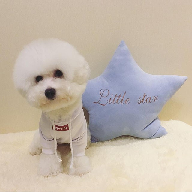 NEW DOG FASHION SUPREME ST puppy hoodie luxury clo