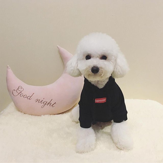 NEW DOG FASHION SUPREME ST puppy hoodie luxury clo