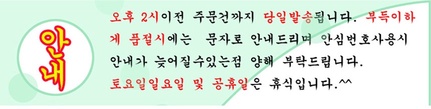 NEW POWERFUL SHOWERHEAD Brass head with adjustable