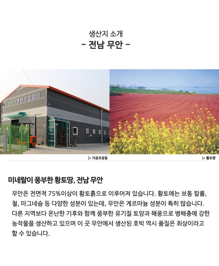 New Pumpkin Juice 100% made of 100% old pumpkin