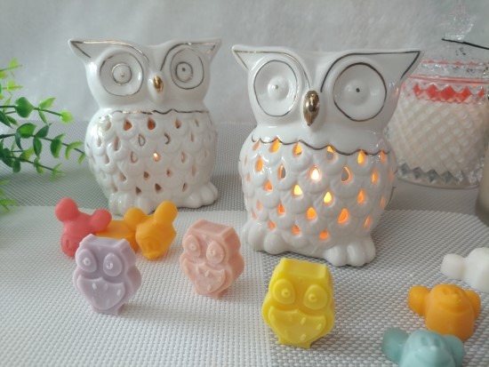 Owl candle holder Aromatherapy tea light gift reco