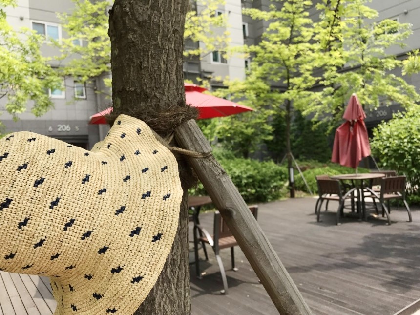 New Hat Dot Raffia Hat Straw Hat 4color Panama Hat