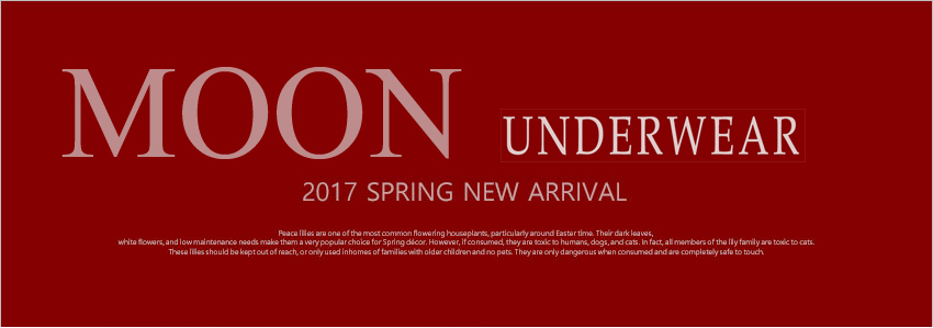 Corset Bra Lace La Panties Big Size Strap Sleeping