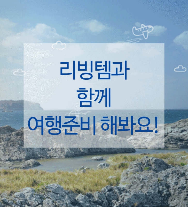 NEW TRAVEL STORAGE ORGANISER Travel Carrier Pouch