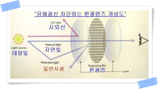 NEW FASHION SUNGLASSES color fading according to U