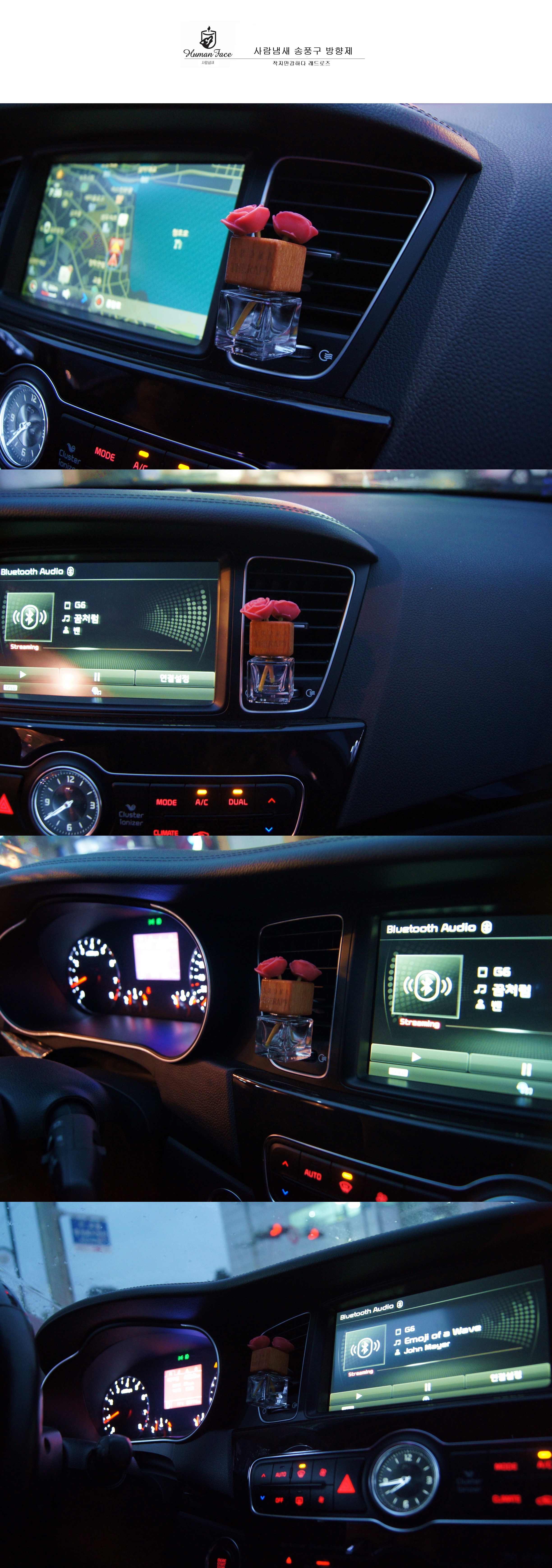 Car Air Freshener Car Air Freshener 30ml Diffuser 