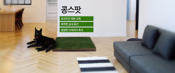 Medium Natural Grass Dog Pads Bean Spot Green Matt