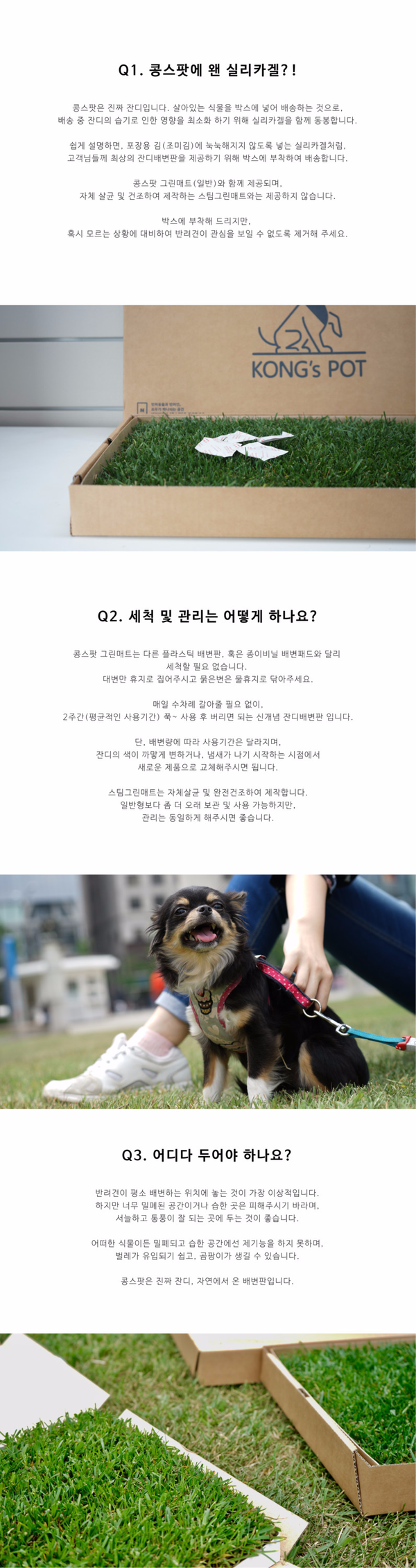 Medium Natural Grass Dog Pads Bean Spot Green Matt