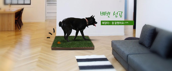 Medium Natural Grass Dog Pads Bean Spot Green Matt