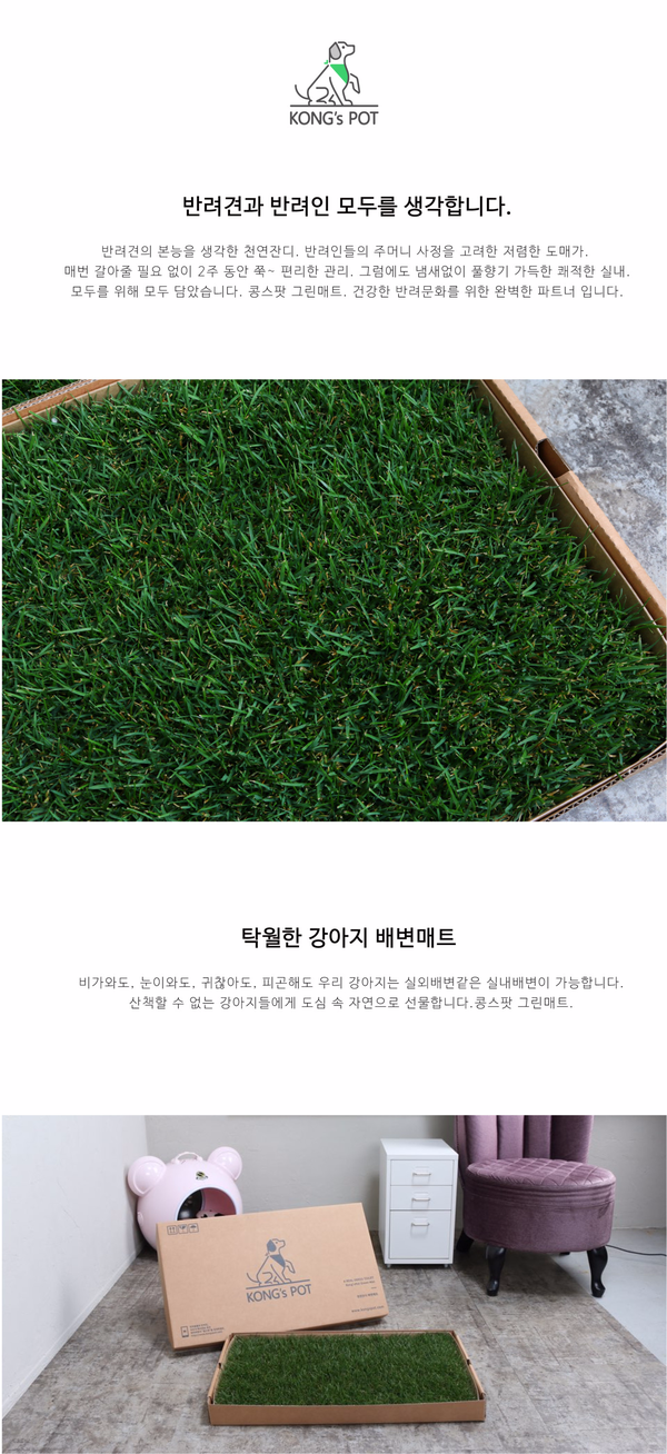 Medium Natural Grass Dog Pads Bean Spot Green Matt