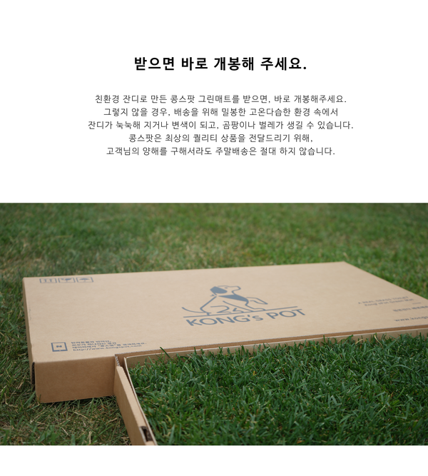 Medium Natural Grass Dog Pads Bean Spot Green Matt