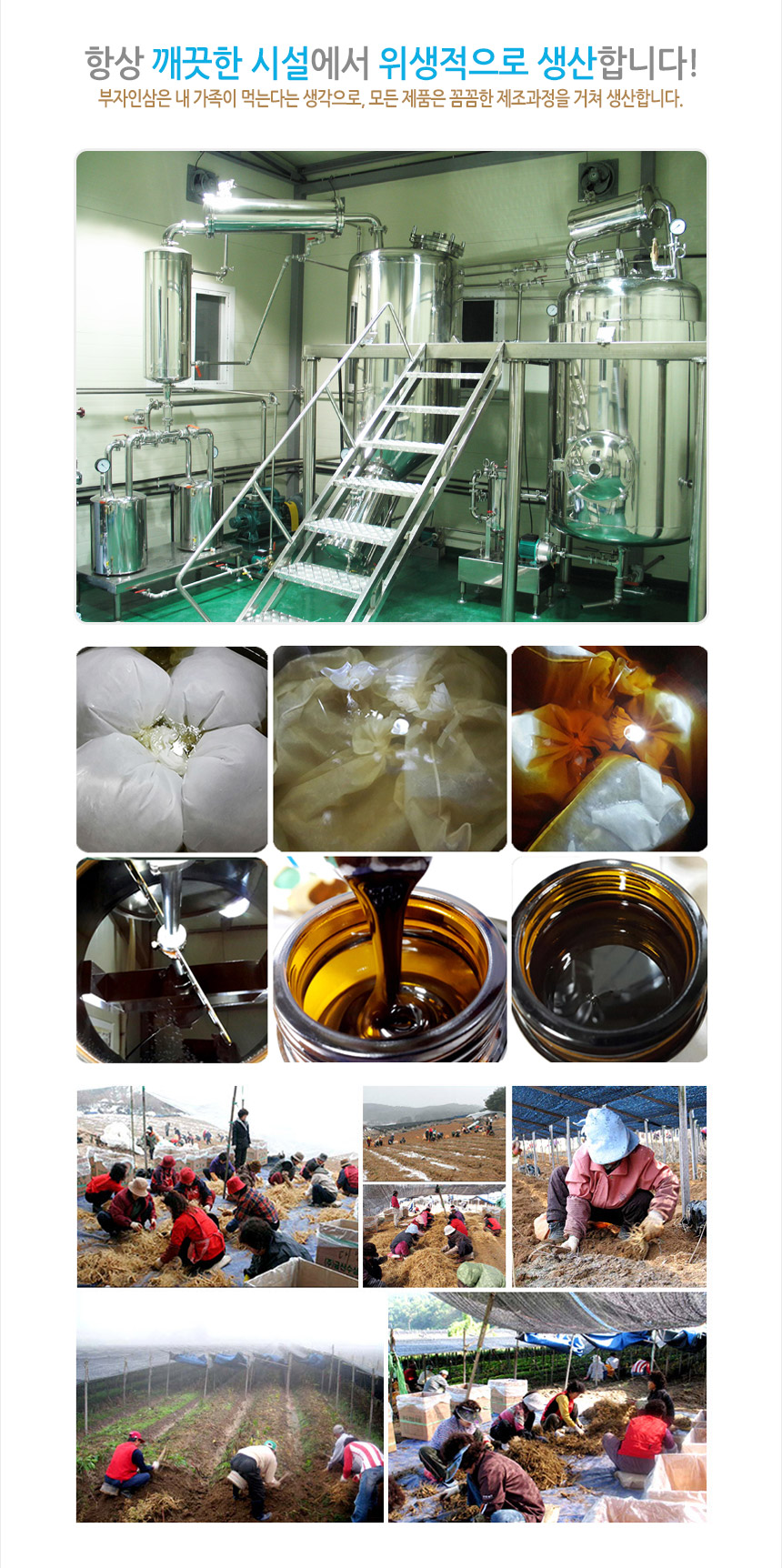 Korea Ginseng rich ginseng red ginseng 240 g, conc