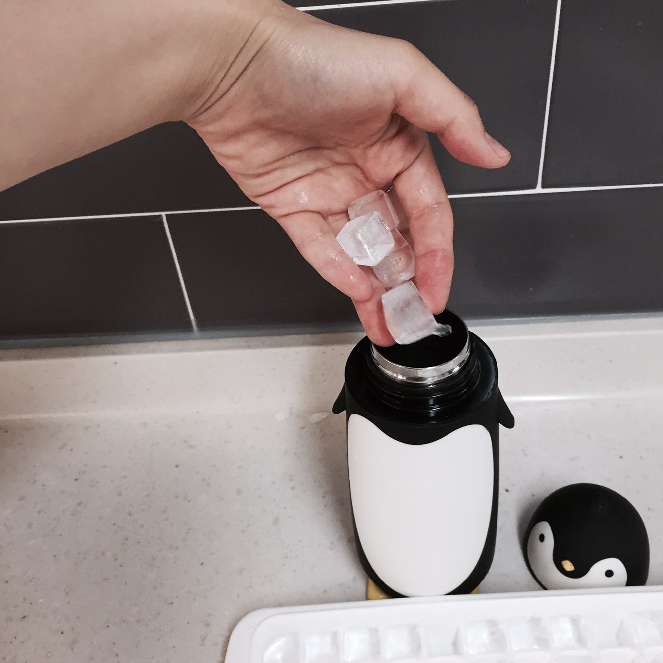 Penguin thermos 280ml cold bottle 4COLOR picnic wa