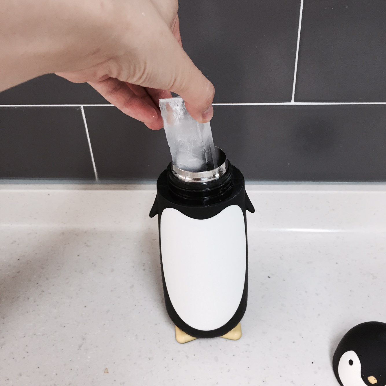 Penguin thermos 280ml cold bottle 4COLOR picnic wa